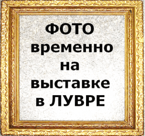 Макел Defne коричневый Розетка 1-я комп.