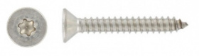 ������� ����������� TORX ��� 14586 [��� 7982] �2 C  5,5� 60 TX25, ������� �����, ������