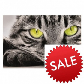 �������� ���� ����� VIP  196�134(  4�)  ���������� !!!   (SALE) ����� -50% !!!