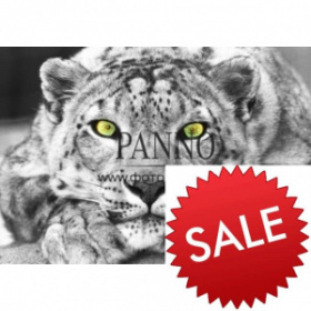 ������������ ����� ������� ����   210�147  ���������� !!!   (SALE) ����� -50% !!!